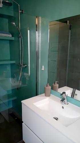salle-de-bain-béton-ciré-couleur1